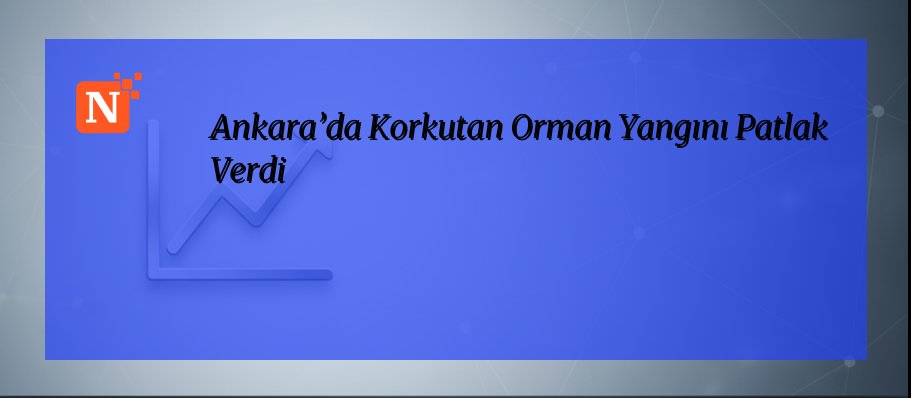 Ankara’da Korkutan Orman Yangını Patlak Verdi